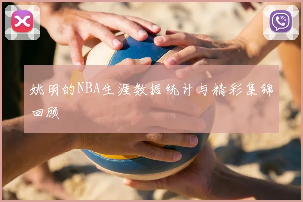 姚明的NBA生涯数据统计与精彩集锦回顾