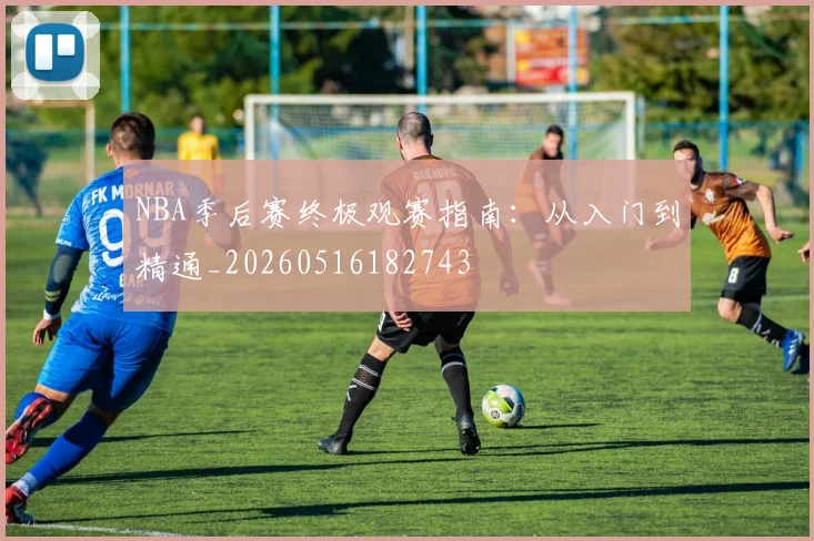 NBA季后赛终极观赛指南：从入门到精通_20260516182743
