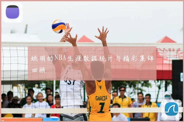 姚明的NBA生涯数据统计与精彩集锦回顾